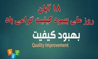 گرامیداشت روز ملی بهبود کیفیت